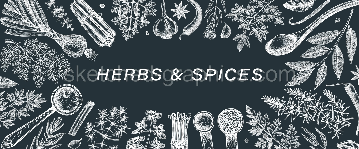 Hand drawn herbs and spices vector banner. Hand sketched food illustration on chalkboard. Vintage aromatic plants hand-drawing. Sketched style. Kitchen spice and herbs black and white design Illustration